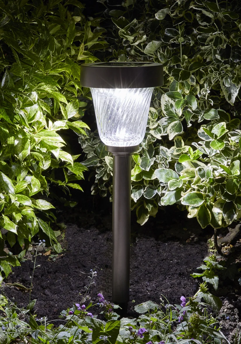 Balise solaire Capella en acier inoxydable, 50 lumens