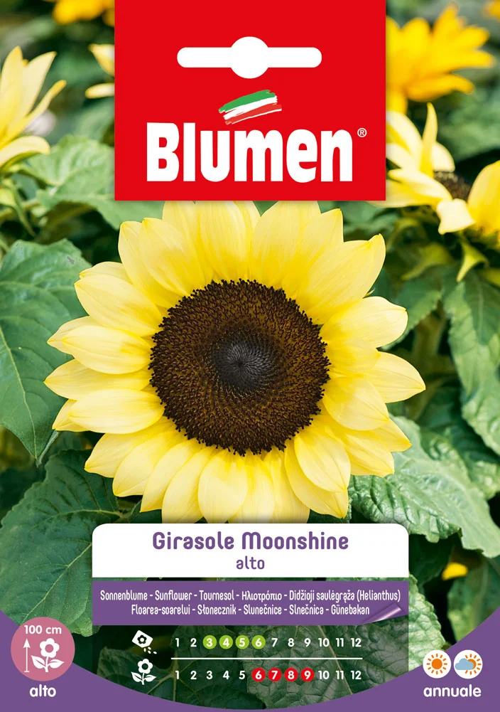 Tournesol Moonshine