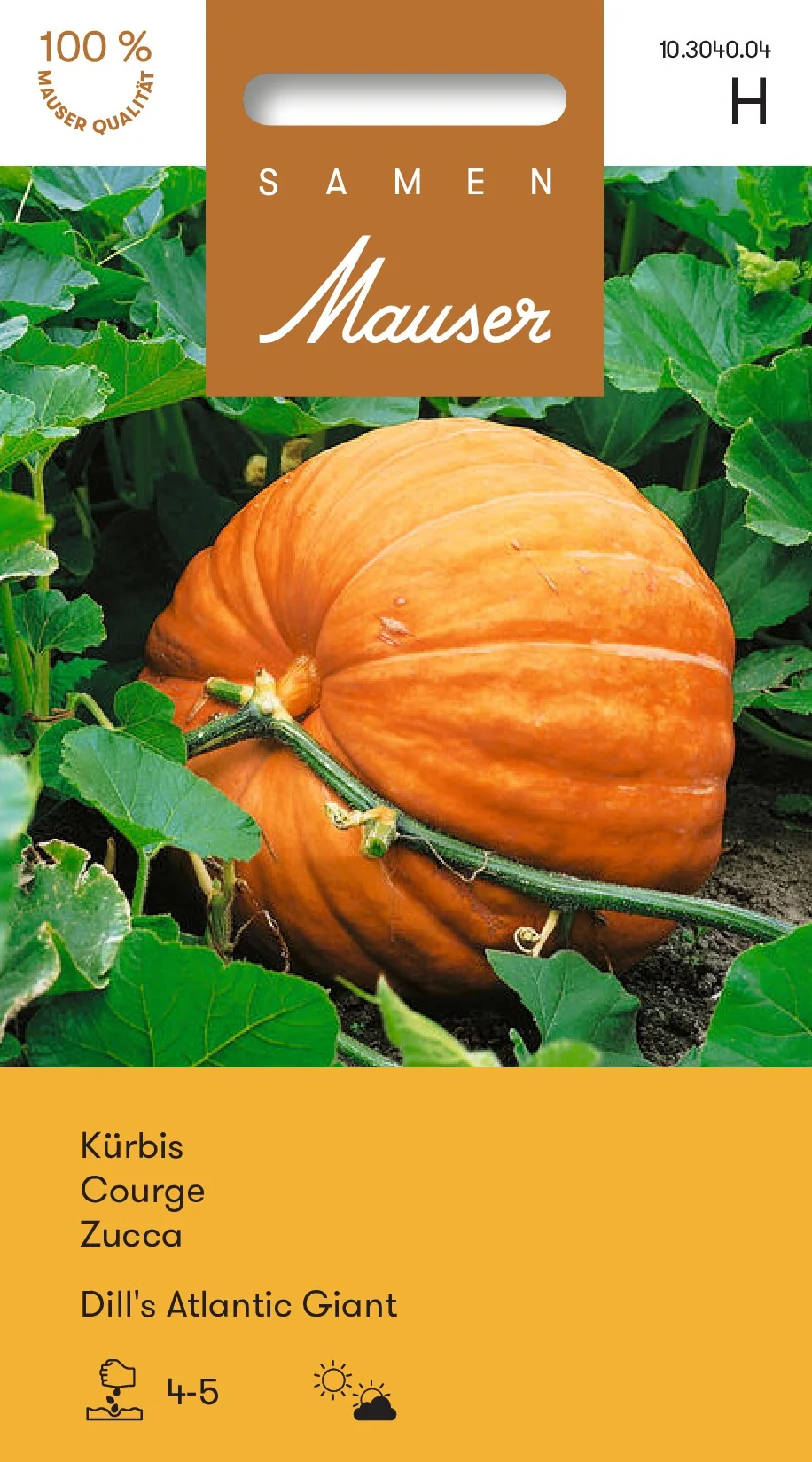 Courge Dill’s Atlantic Giant