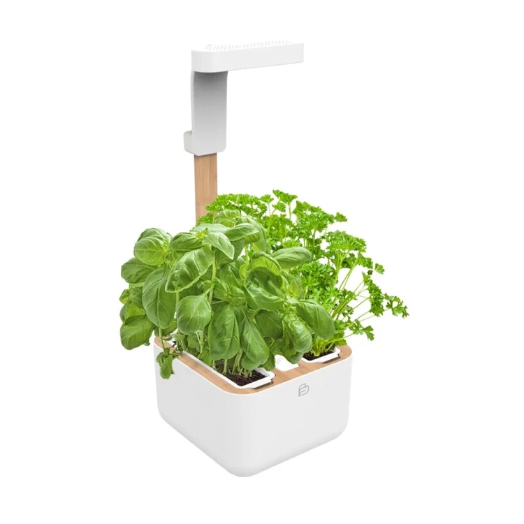 Potager Botaneo Eylo