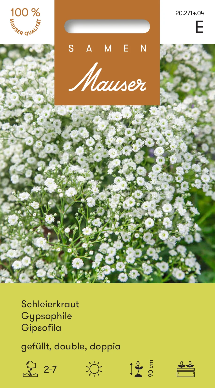 Gypsophile double