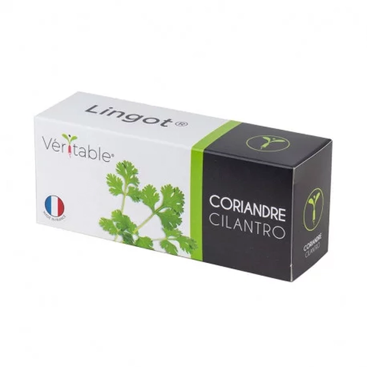 Graines Coriandre - Lingot® Véritable