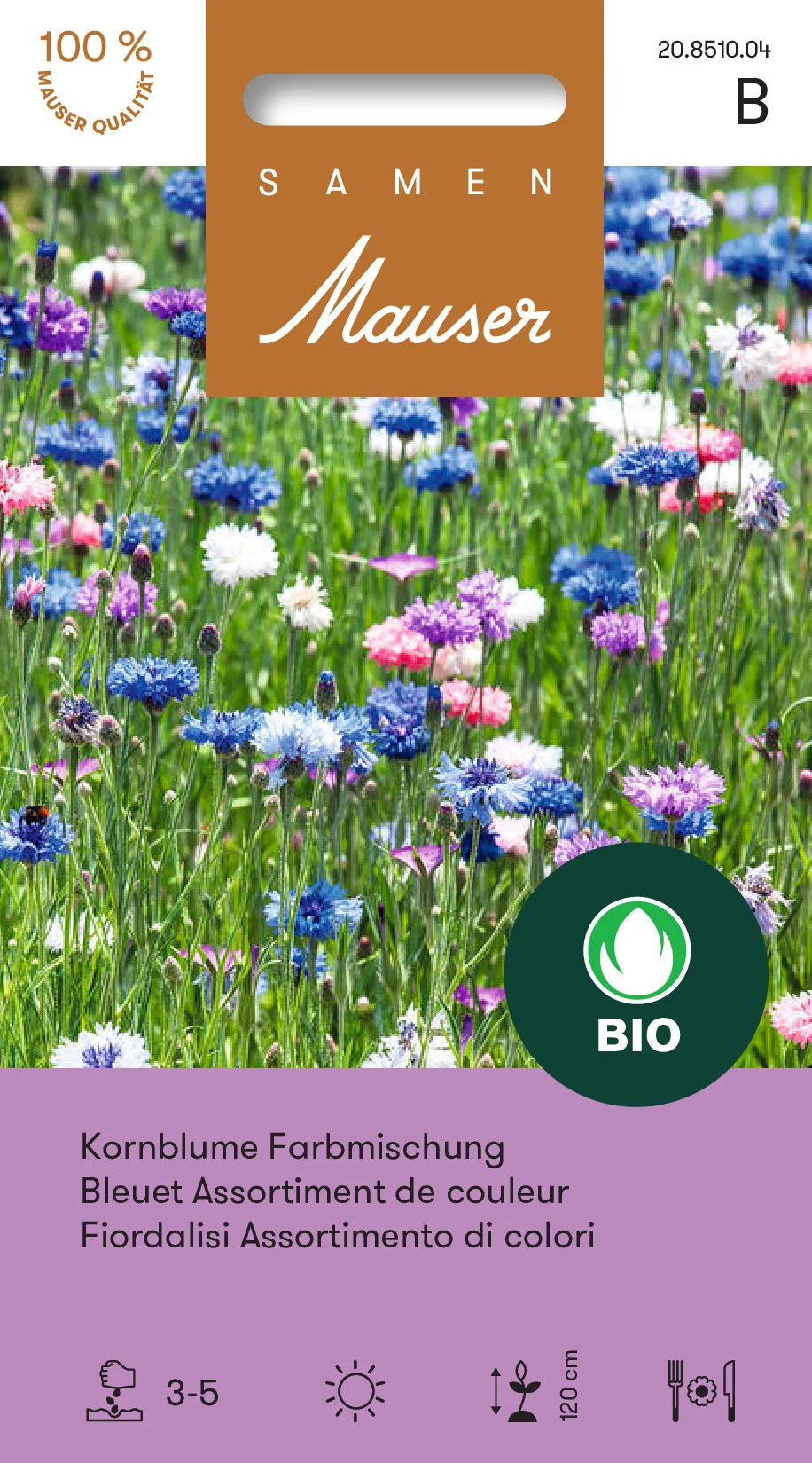 Bleuet - Assortiment de couleurs