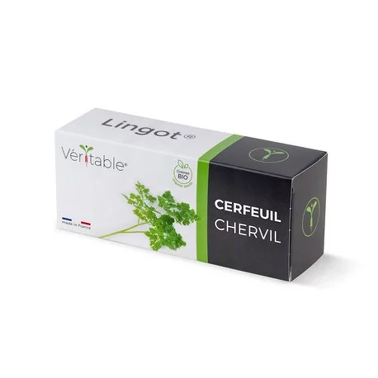 Graines Cerfeuil bio - Lingot® Véritable