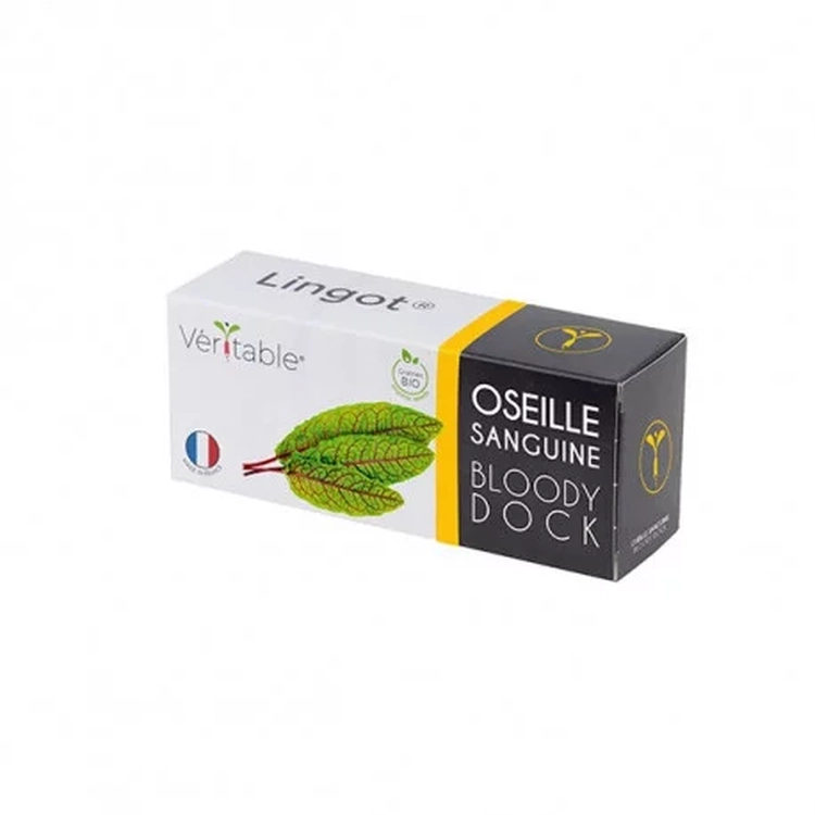 Graines Oseille Sanguine bio - Lingot® Véritable