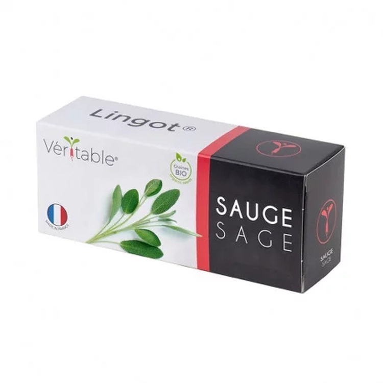 Graines Sauge bio - Lingot® Véritable