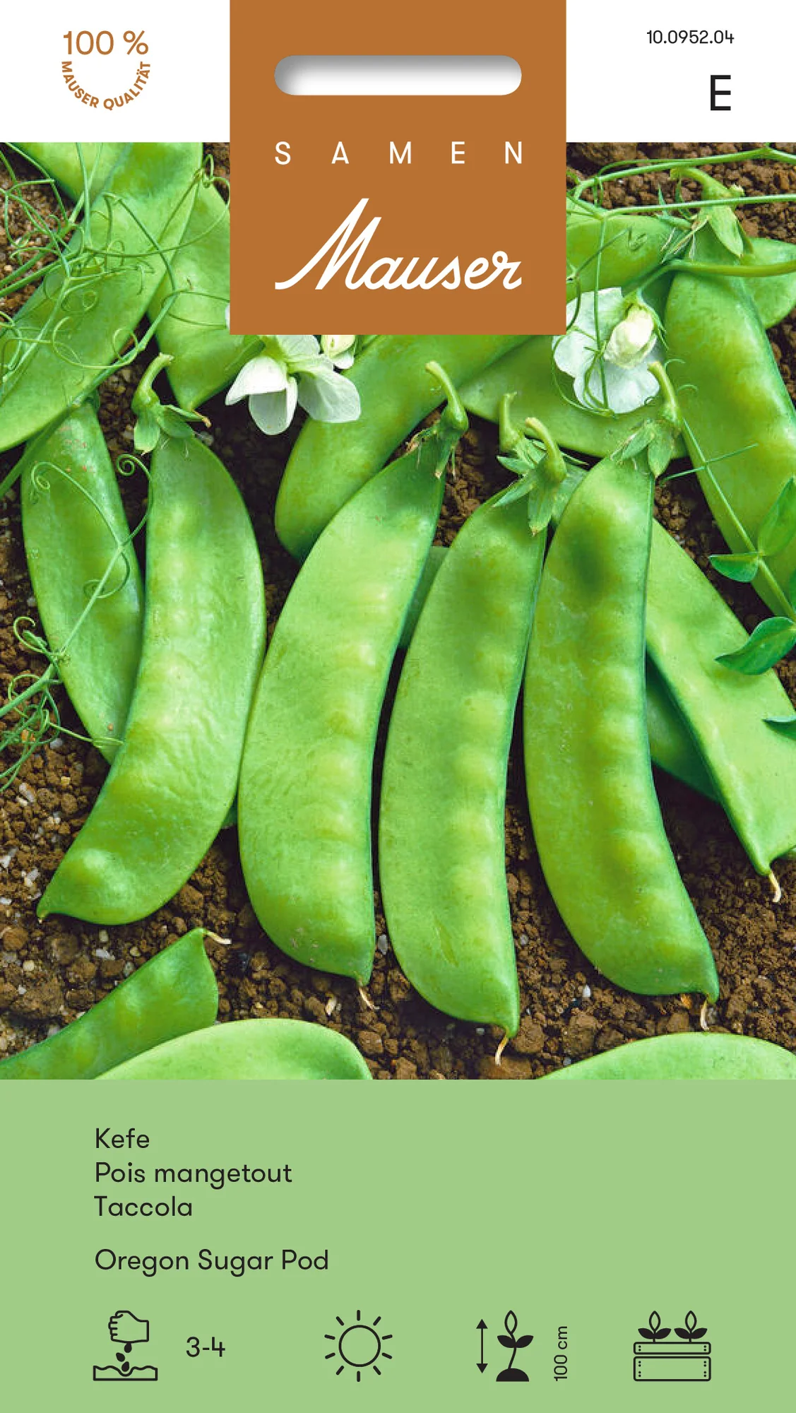 Pois mangetout Oregon Sugar Pod