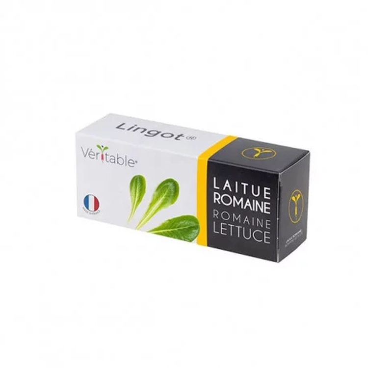 Graines Laitue romaine - Lingot® Véritable