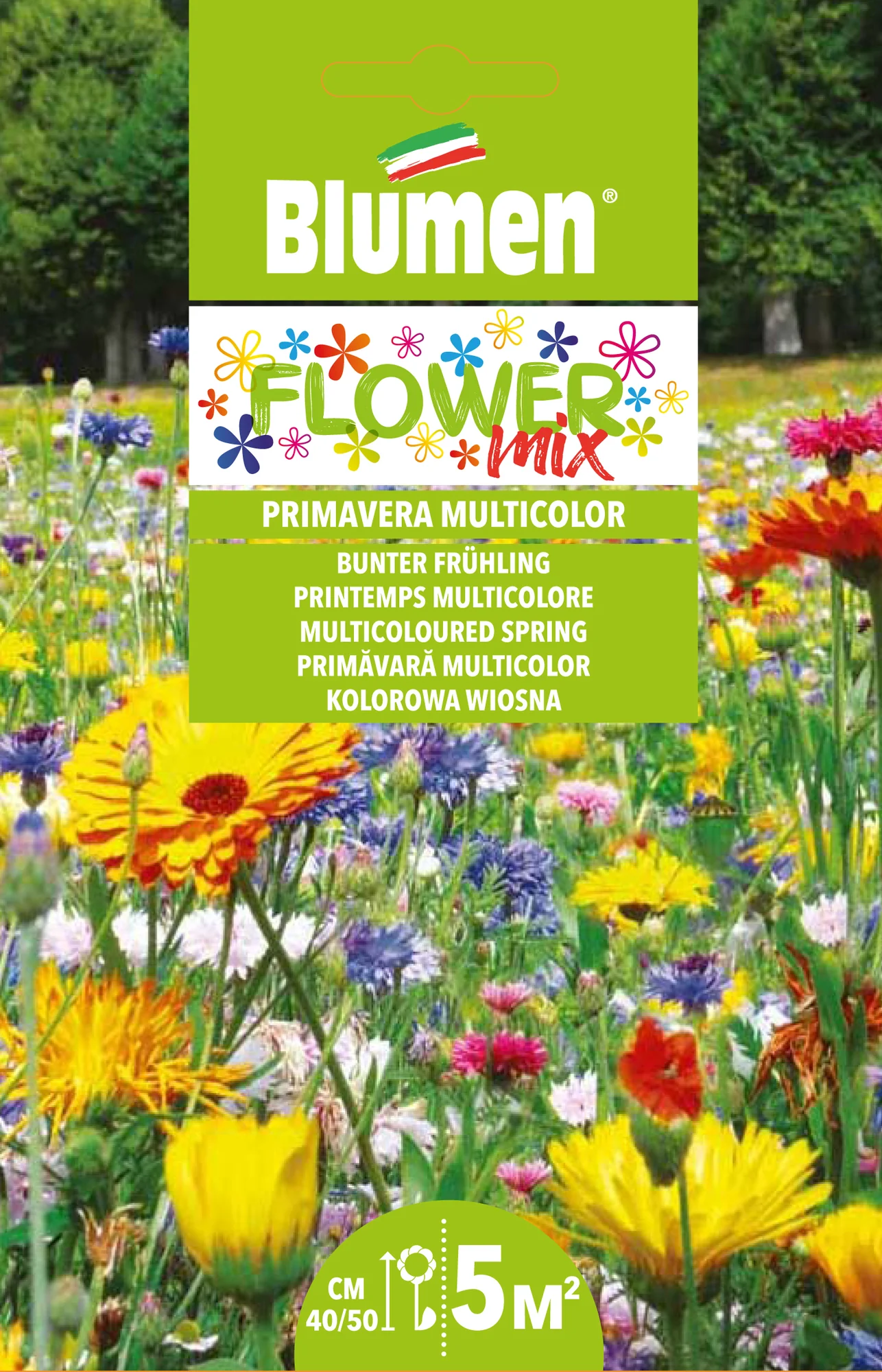 Mélange de fleurs Printemps multicolore