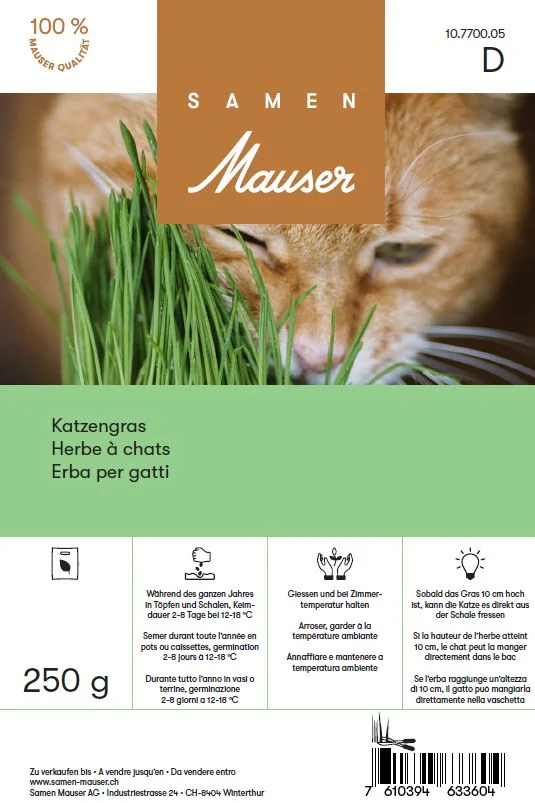 Herbe à chats 250 g