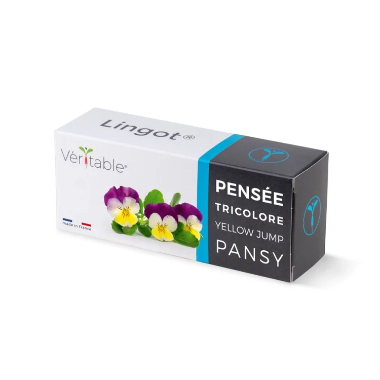 Graines Pensée tricolore - Lingot® Véritable