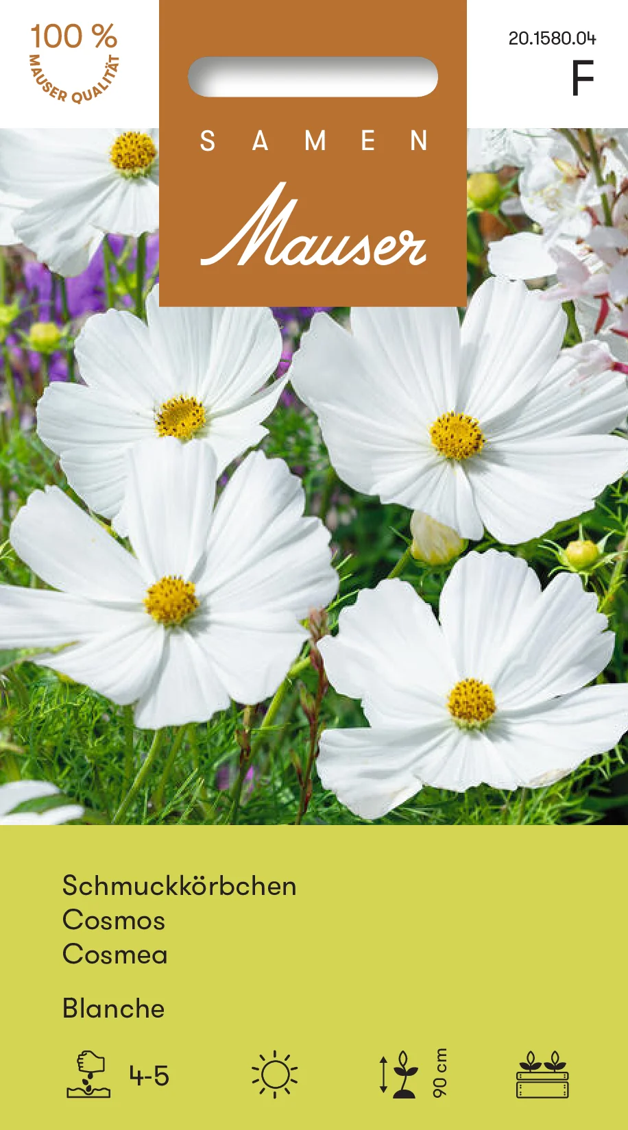 Cosmos Blanche