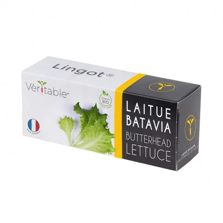 Graines Laitue Batavia bio - Lingot® Véritable