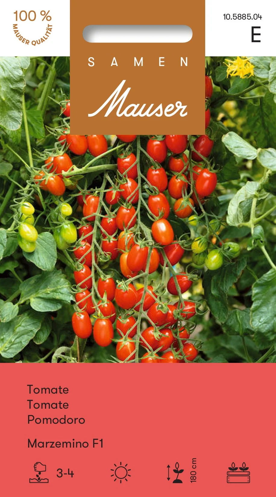 Tomate Marzemino F1