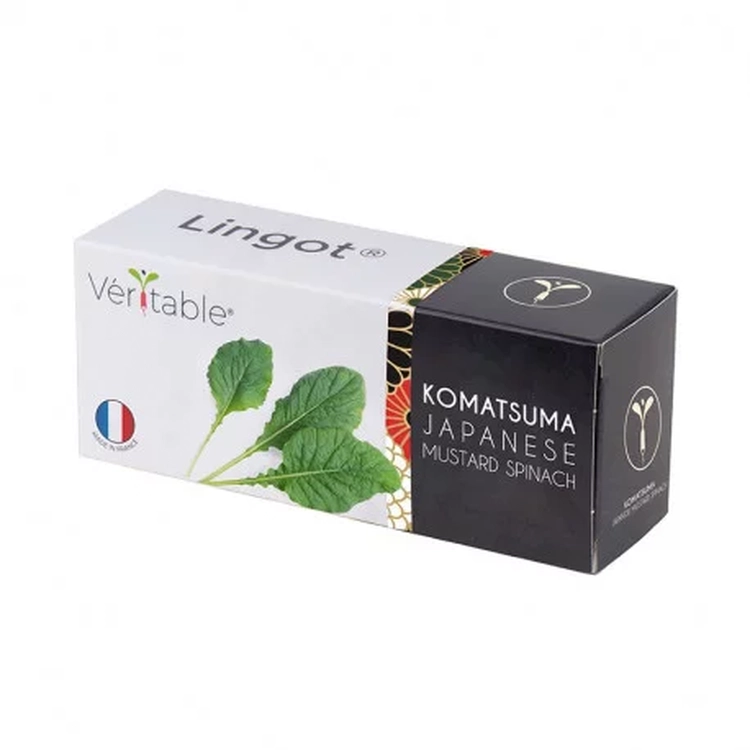 Graines Komatsuna - Lingot® Véritable