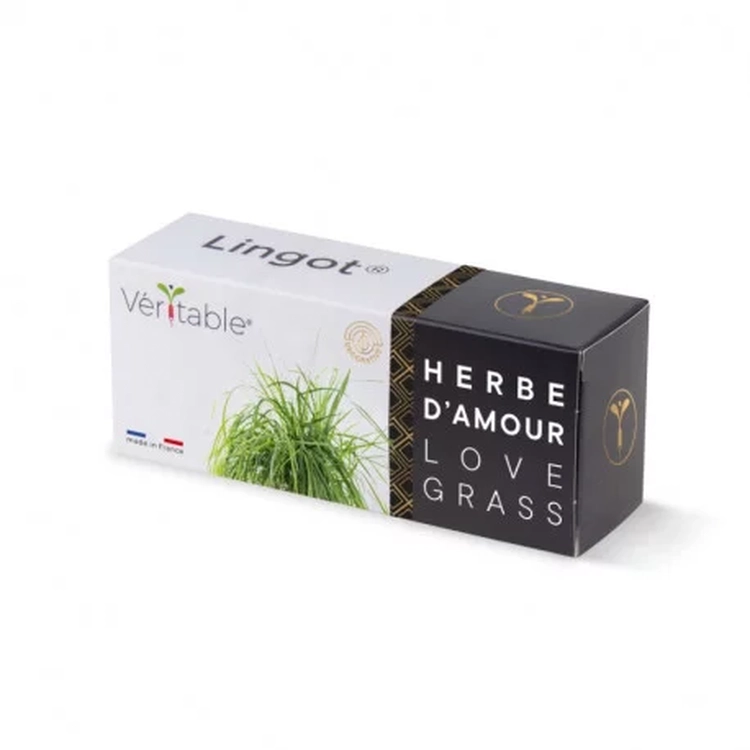 Liebeskraut Samen - Lingot® Véritable