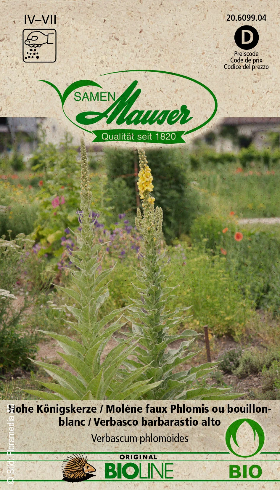 Bourgeon Bio Grande molène