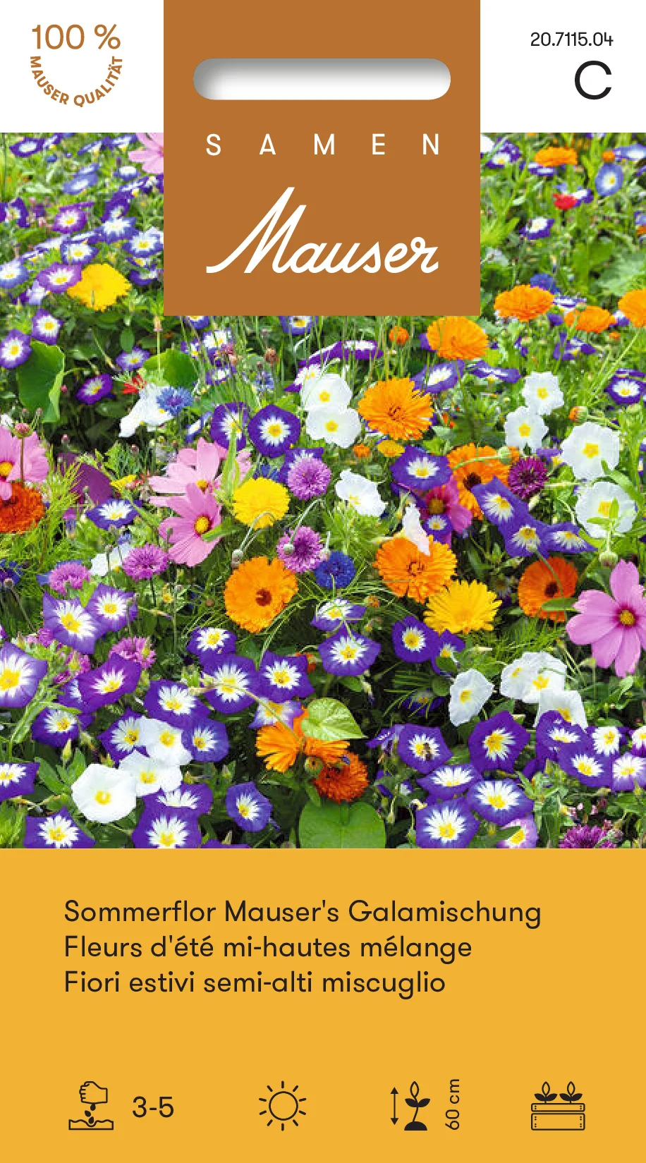 Fleurs d’été mi-hautes mélange