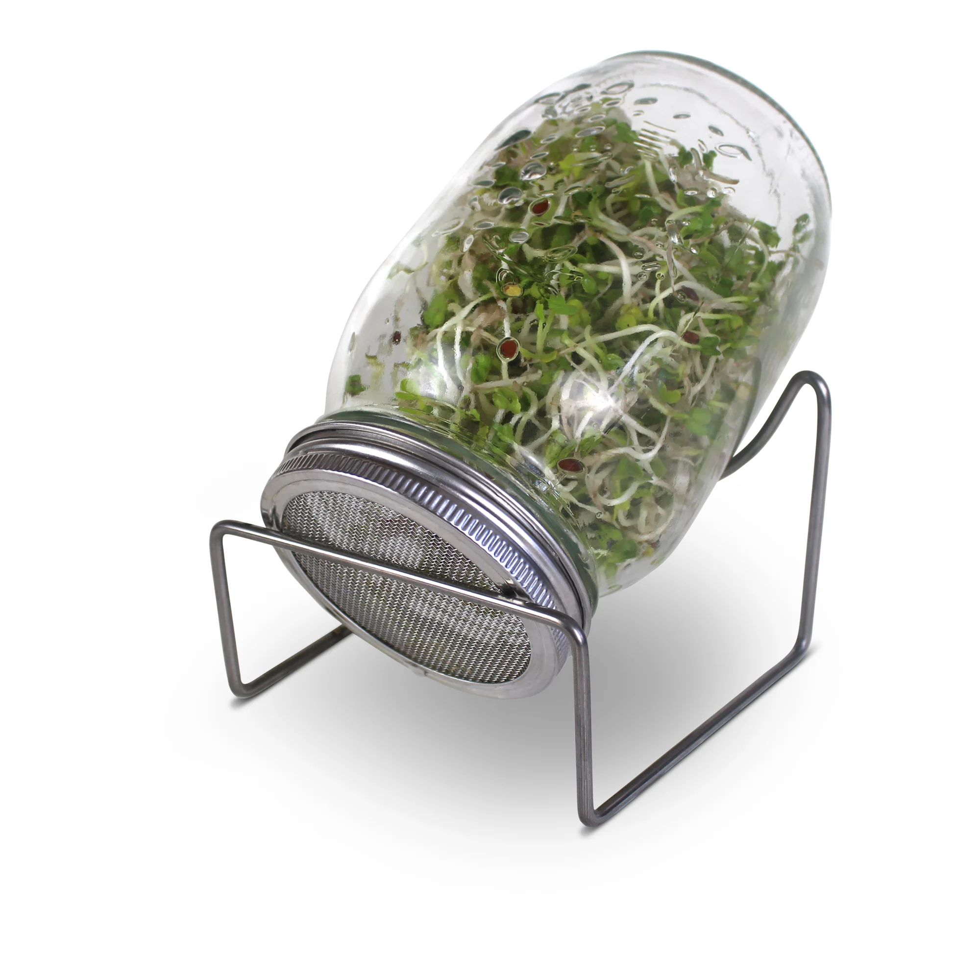 Bocal à germination