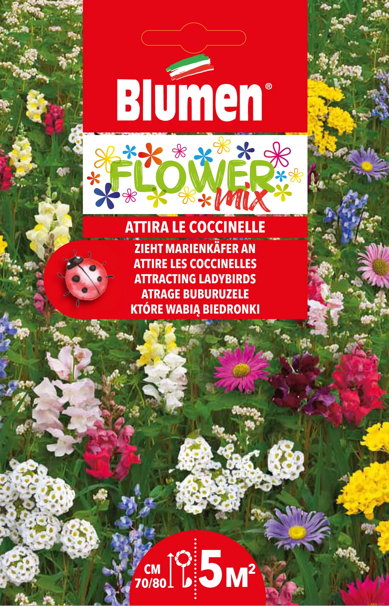 Mélange de fleurs pour coccinelles