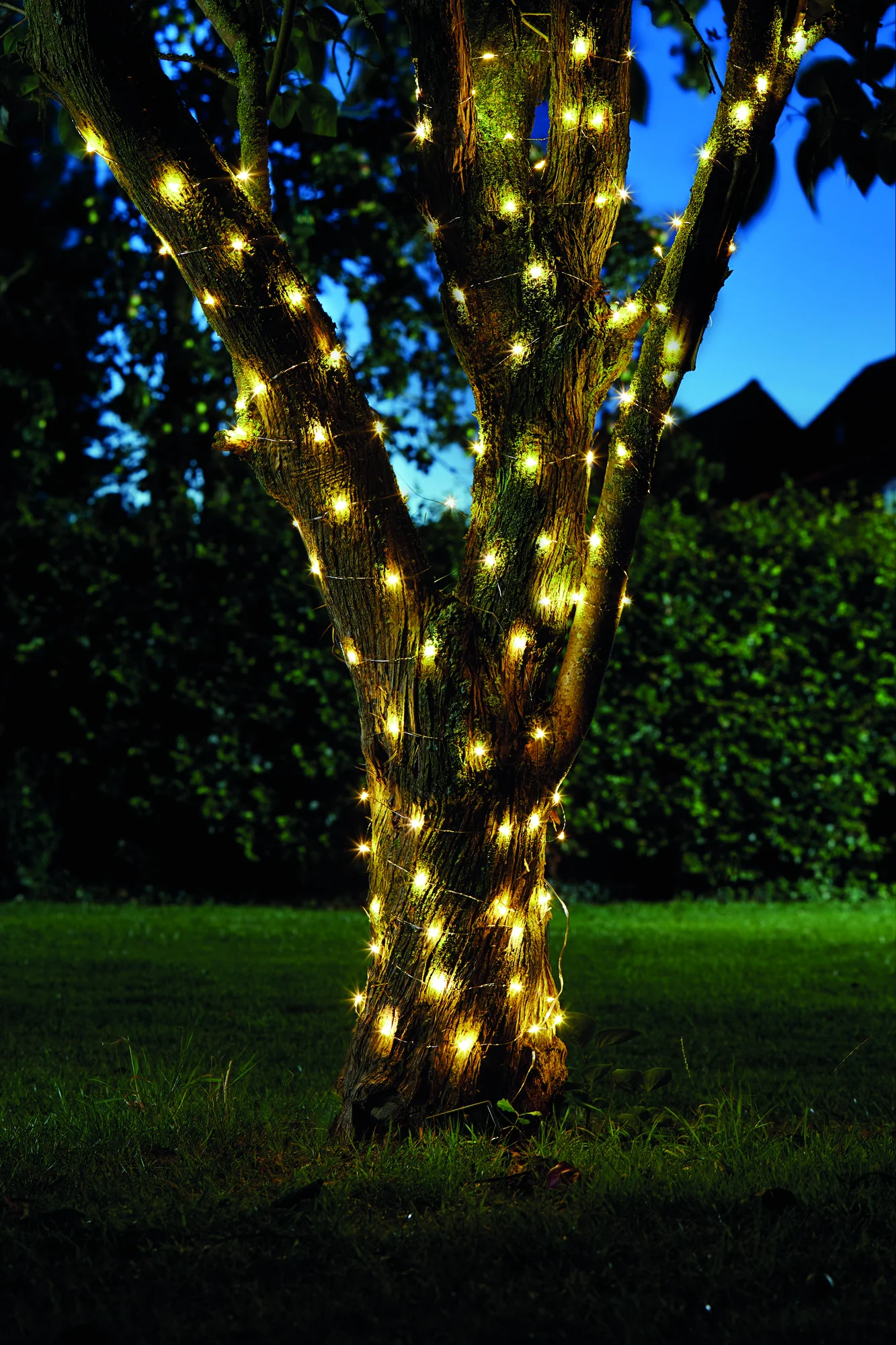 Guirlande solaire Firefly, 100 micro-LED