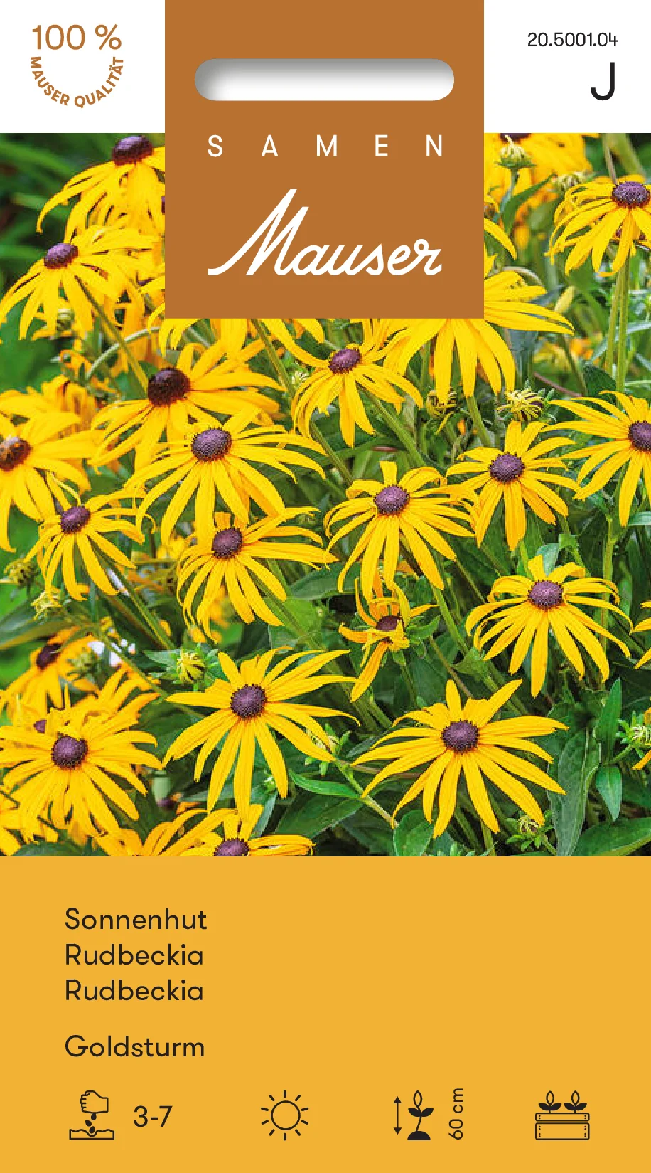 Rudbeckia Goldsturm