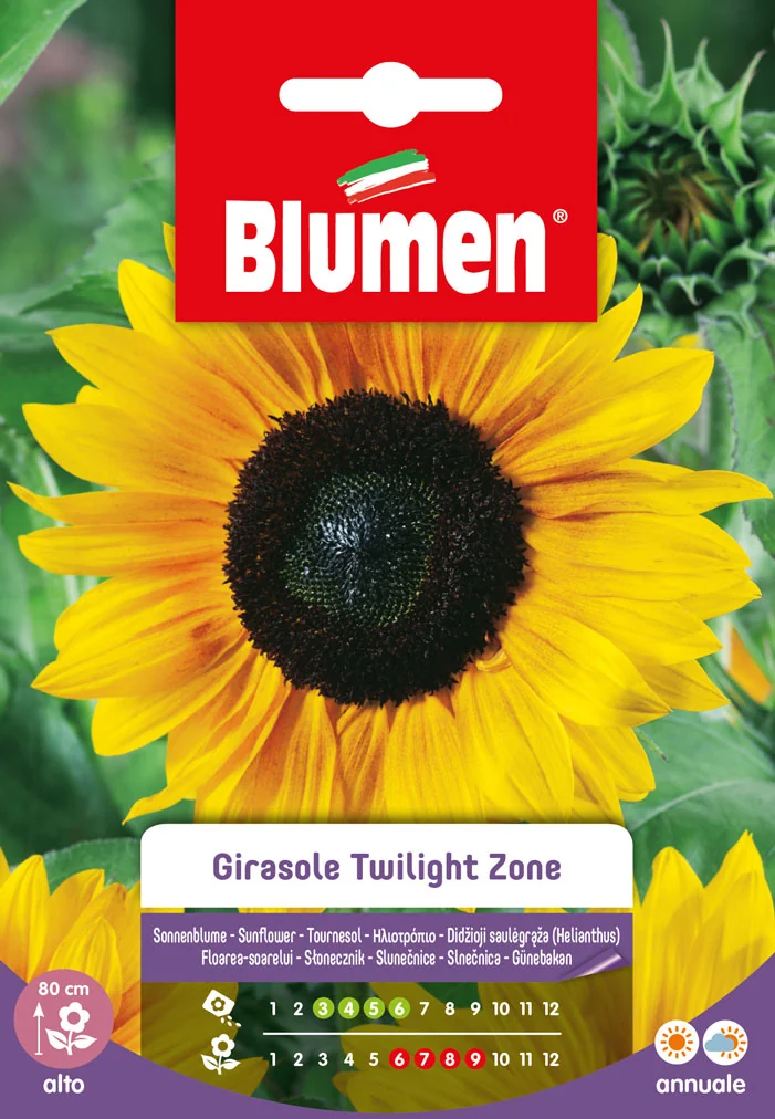 Tournesol Twilight Zone