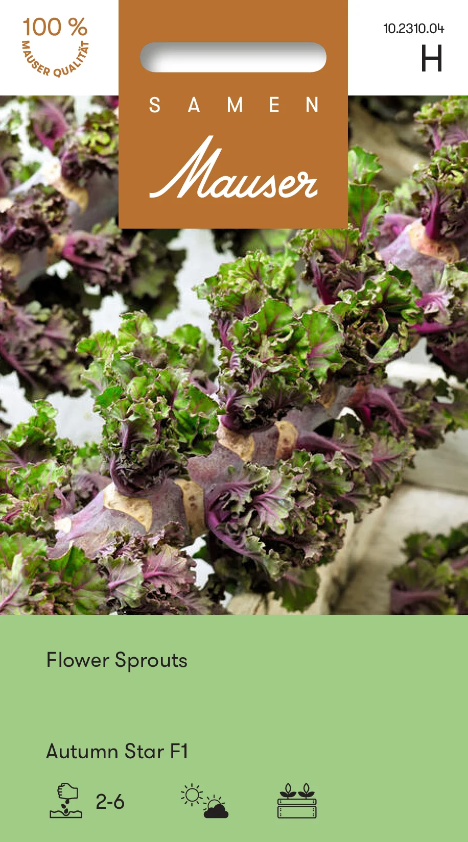 Flower Sprouts Autumn Star® ou BrusselKale