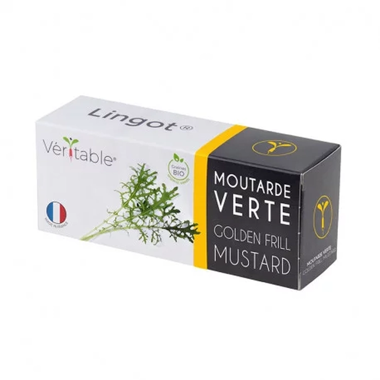 Graines Moutarde verte bio - Lingot® Véritable