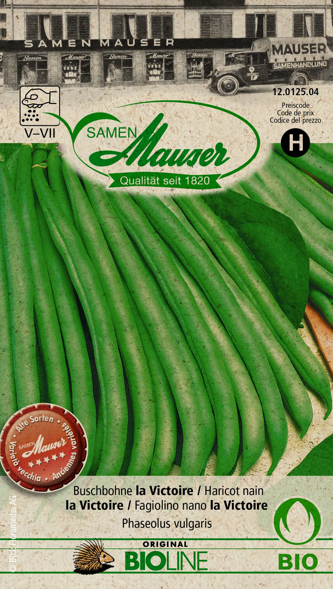 Bourgeon Bio Haricot nain la Victoire