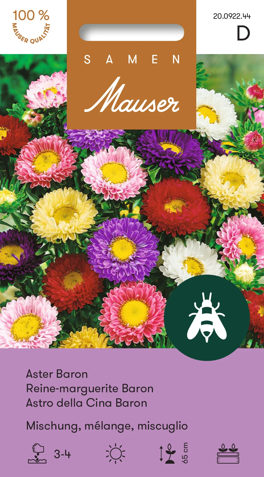 Reines-marguerites Baron mélange