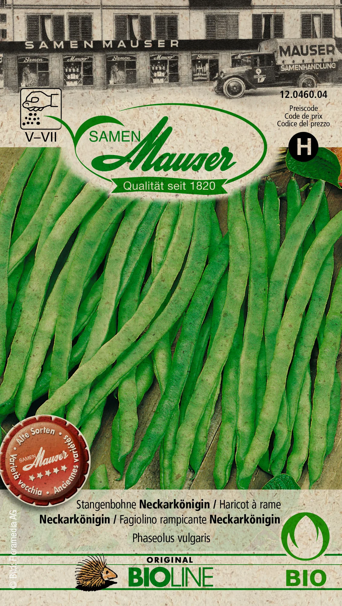 Bourgeon Bio Haricot à rame Neckarkönigin
