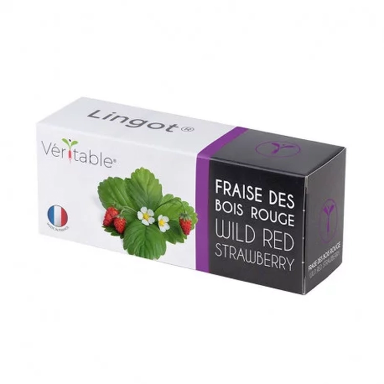 Rote Walderdbeere Samen - Lingot® Véritable