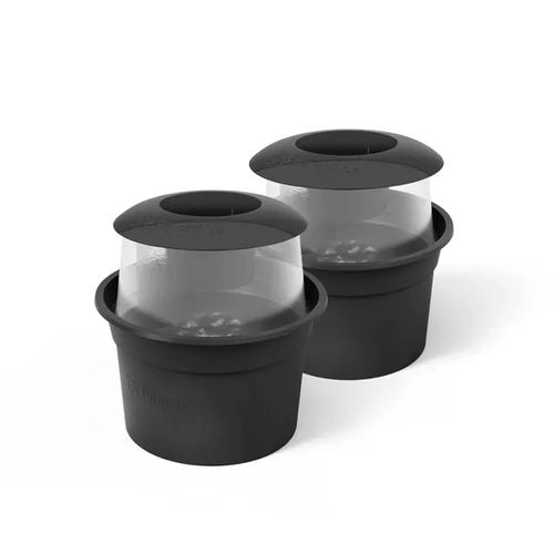 BG-GAT – 2 Anti-Legefallen für Mücken