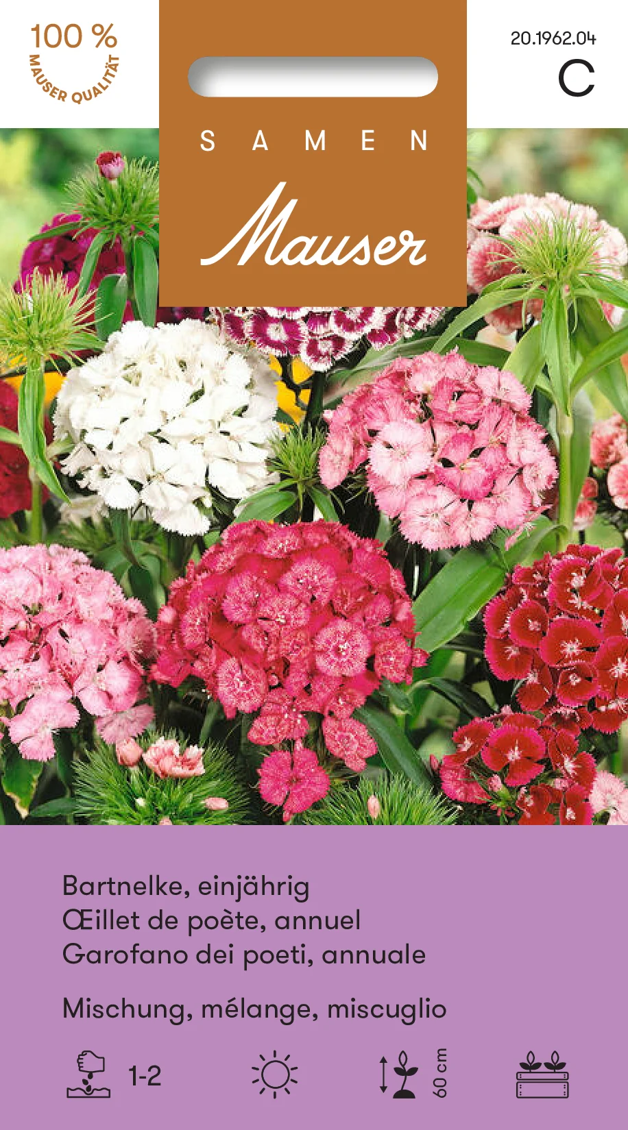 Œillet de poète mélange annuelle