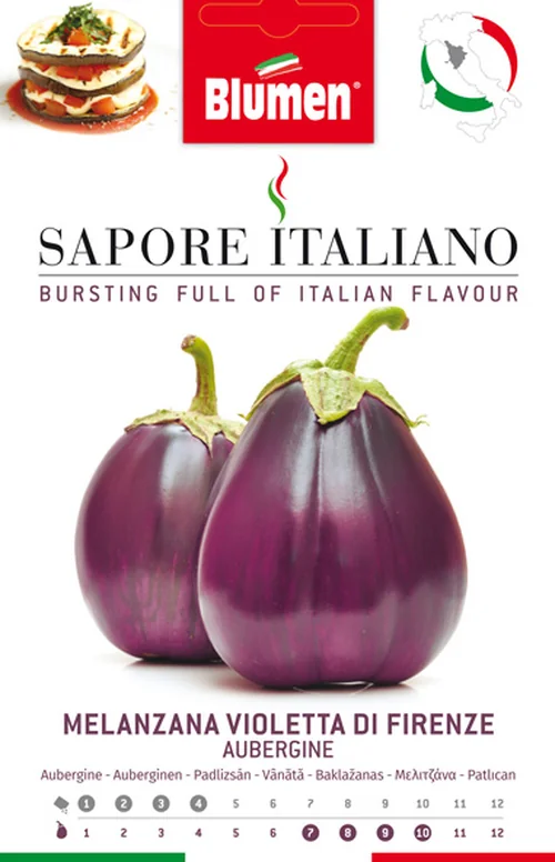 Aubergine Violetta di Firenze