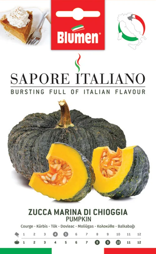 Courge Marina di Chioggia