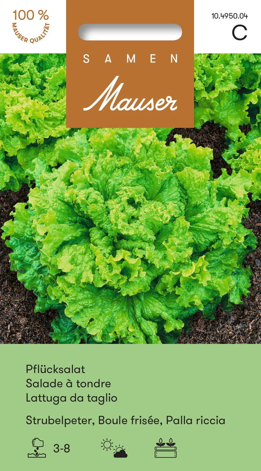 Salade à tondre Boule frisée