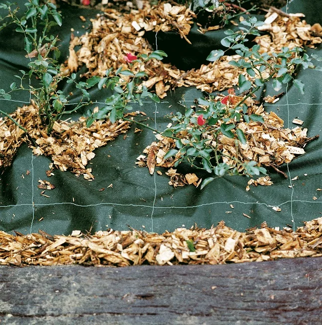 Toile de paillage polypropylène