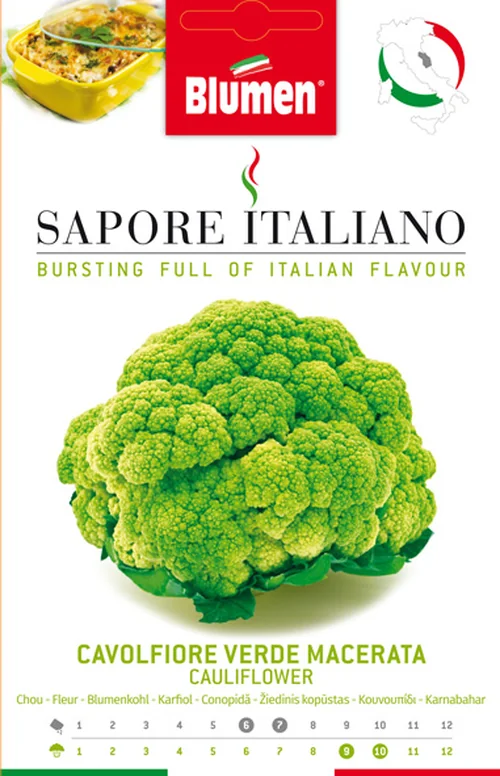 Chou-fleur Verde Macerata