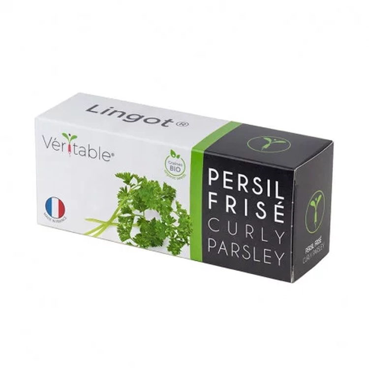Graines Persil Frisé bio - Lingot® Véritable