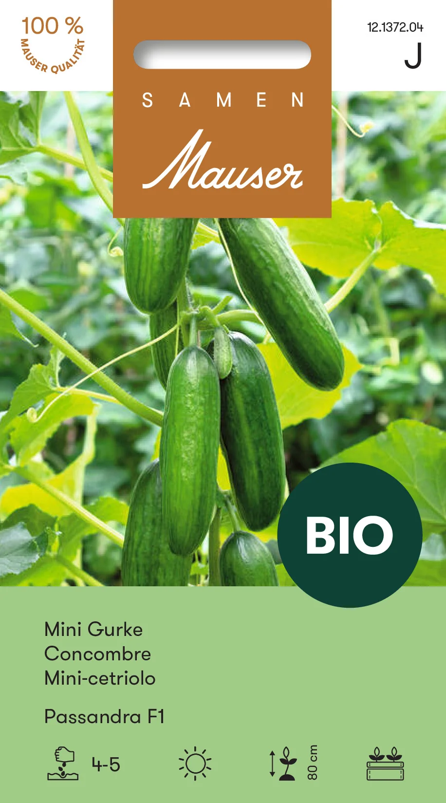BIO Concombre nain Passandra F1