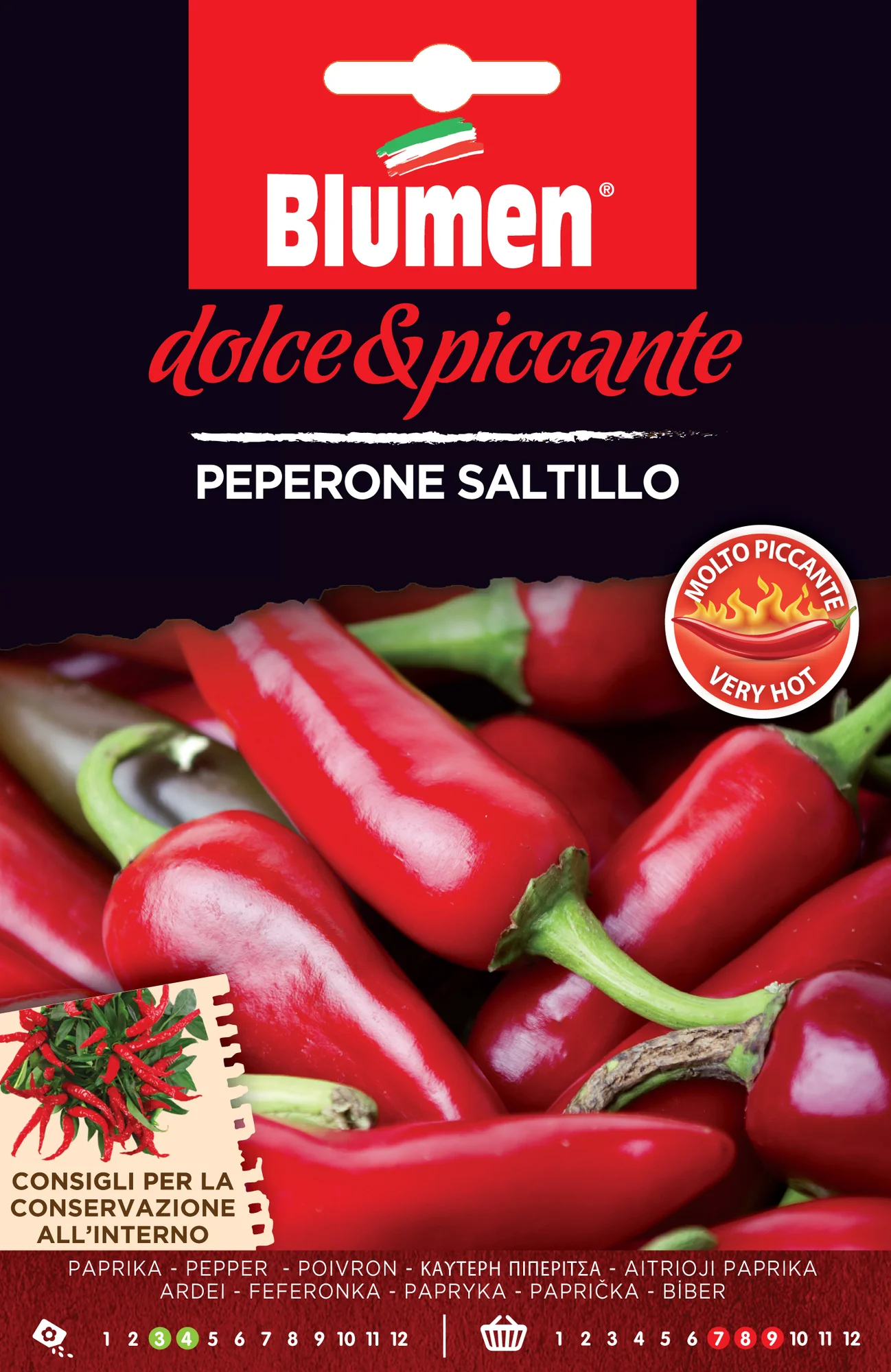 Chili Saltillo