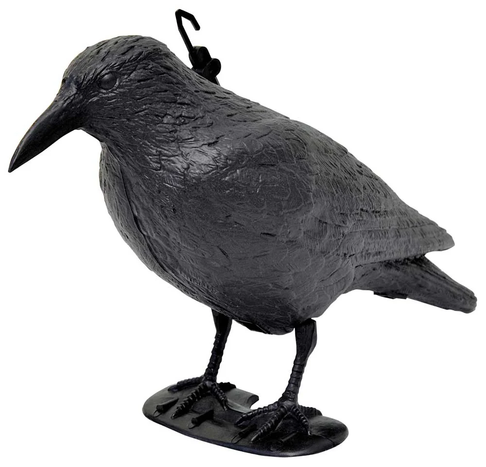 Effaroucheur d'oiseaux en forme de corbeau