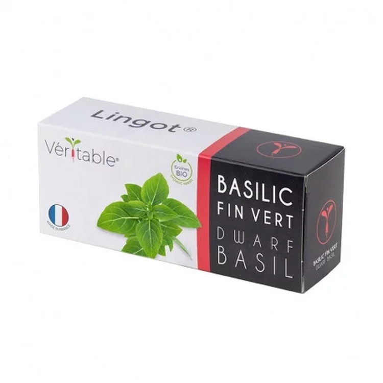 Graines Basilic fin vert bio - Lingot® Véritable