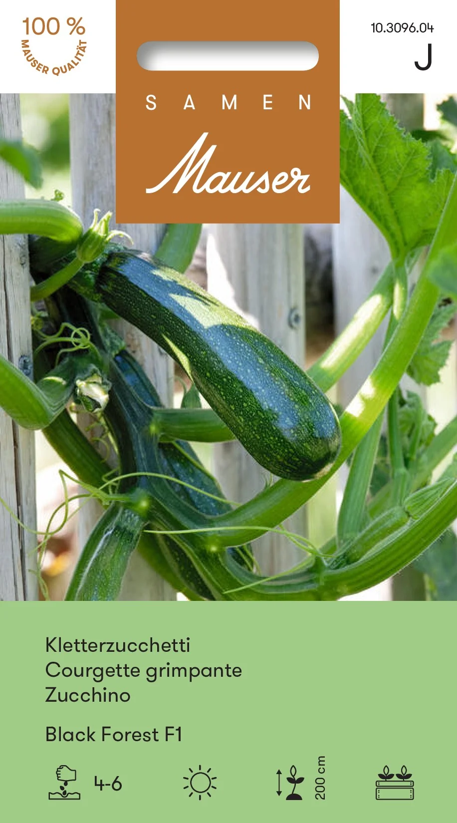 Courgette grimpante Black Forest F1