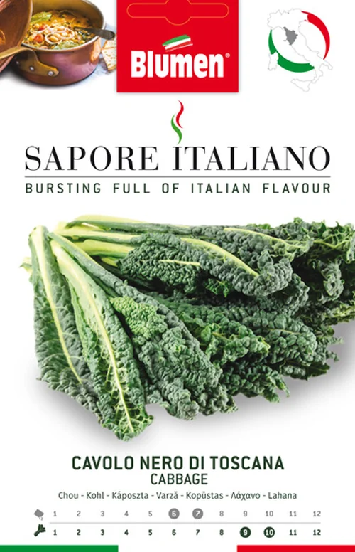 Chou Nero di Toscana