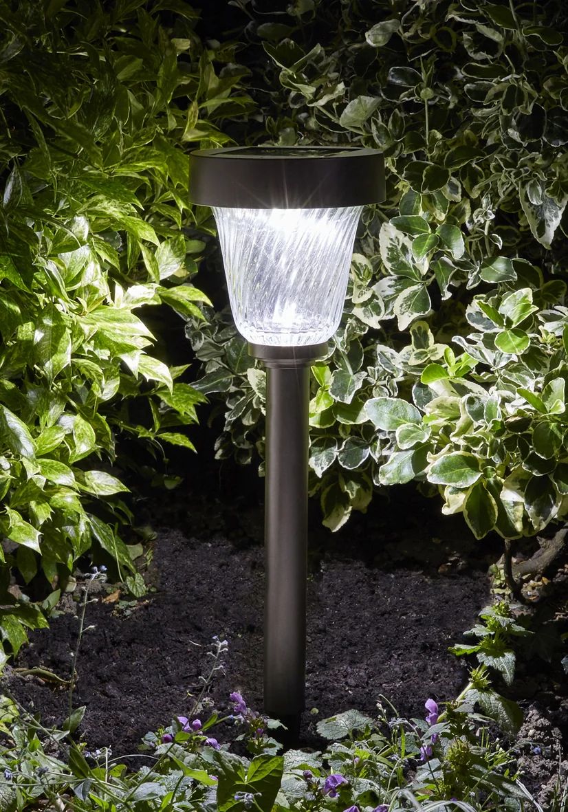Balise solaire Capella en acier inoxydable, 50 lumens
