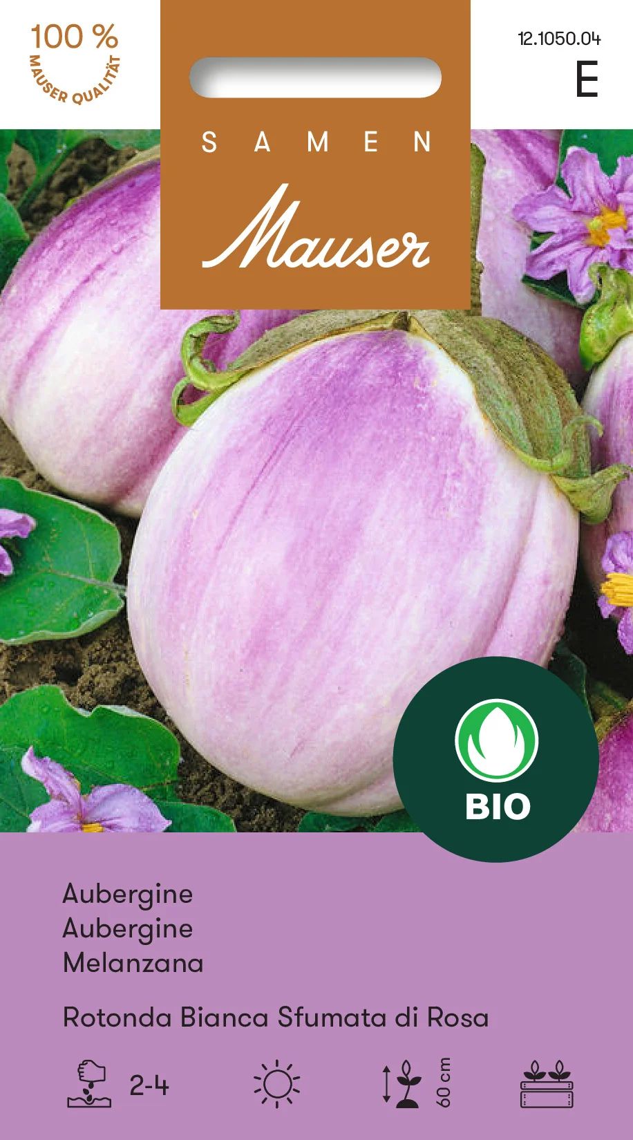 BIO Aubergine Rotonda Bianca Sfumata di Rosa