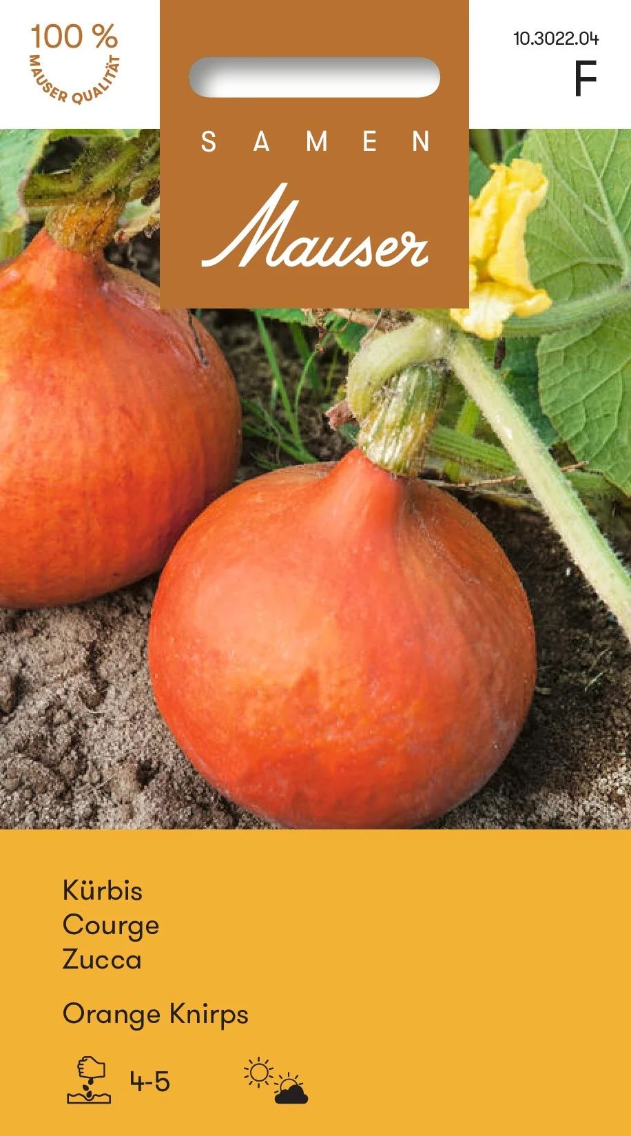 Courge Orange Knirps